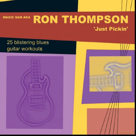 Ron Thompson: Just Pickin [CD]