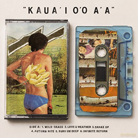 Gentle Friendly: KauaI OO AA [Winyl]