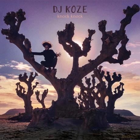 Dj Koze: Knock Knock [6xWinyl]