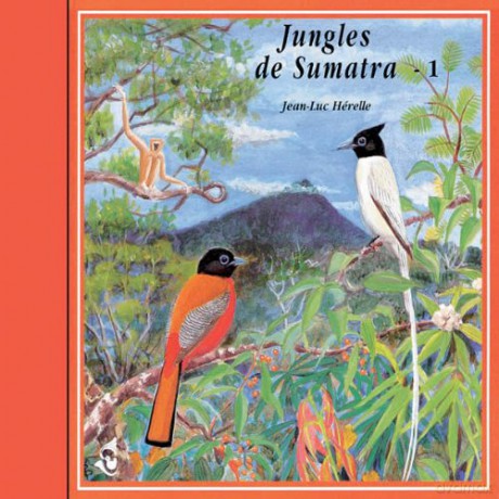 Sons De La Nature: Jungles De Sumatra - 1 [CD]
