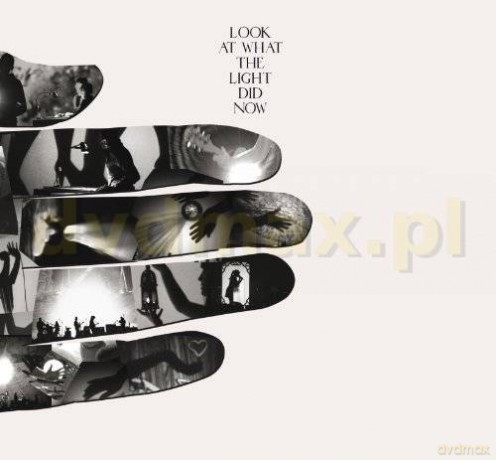Feist: Look At What The Light Did Now [DVD]+[CD]