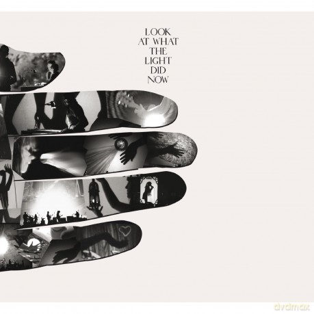 Feist: Look At What The Light Did Now -Limited [DVD]+[CD]