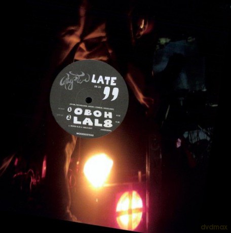 Excepter: Late [Winyl]