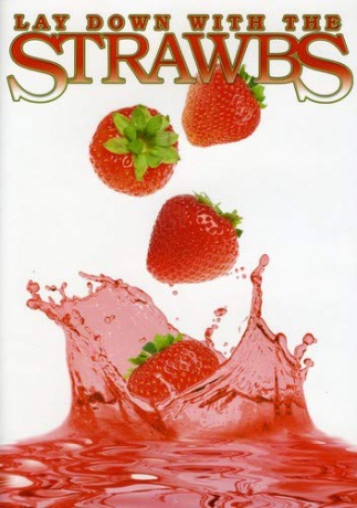 Strawbs: Lay Down With The Strawbs [DVD]
