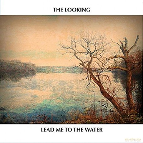 Looking: Lead Me To The Water [CD]