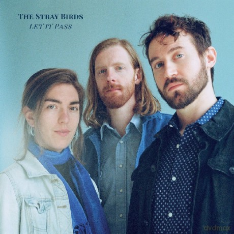 Stray Birds: Let It Pass [CD]