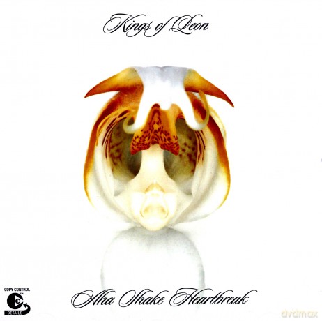 Kings Of Leon: Aha Shake Heartbreak [CD]