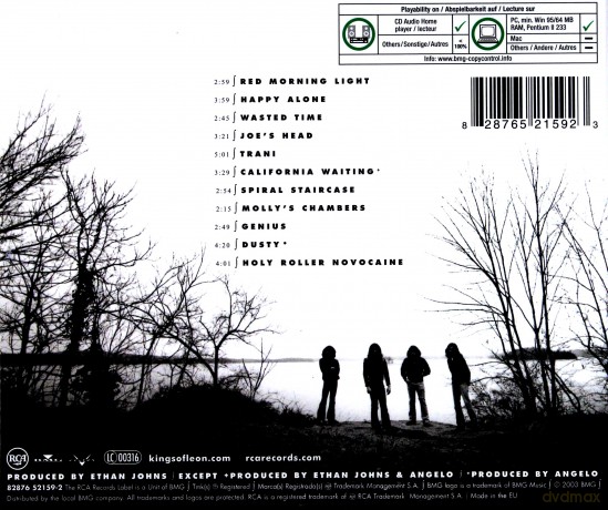 Kings Of Leon: Youth And Young Manhood [CD]