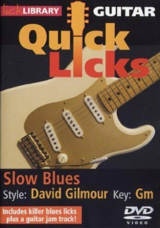 Lick Library Quick Licks Slow Blues Davi [DVD]