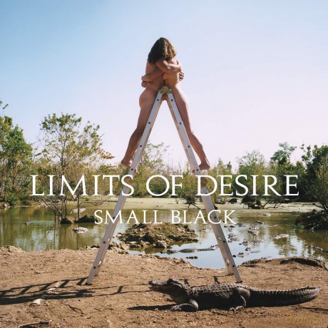 Small Black: Limits Of Desire [Winyl]