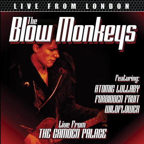 Blow Monkeys: Live From London [DVD]