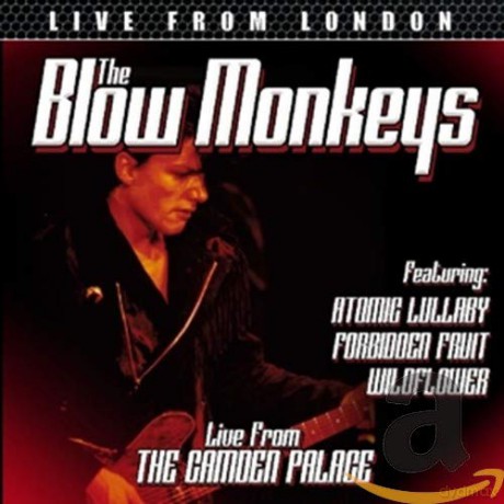 Blow Monkeys: Live From London [CD]