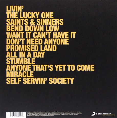 Paddy Casey: Living [Winyl]