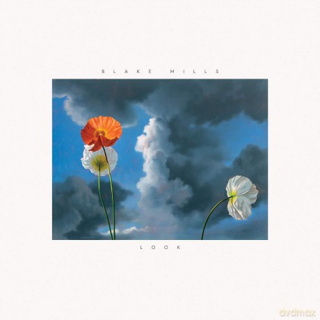 Blake Mills: Look [Winyl]