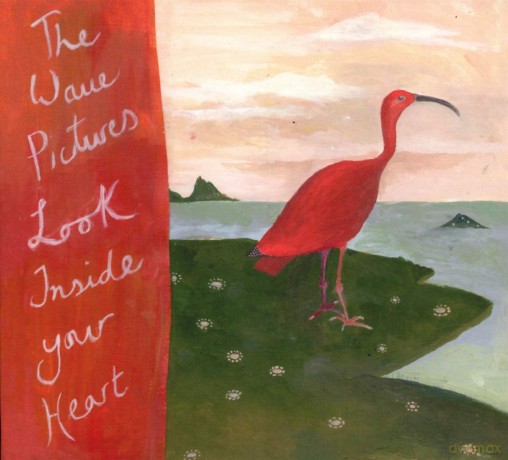 Wave Pictures: Look Inside Your Heart [CD]
