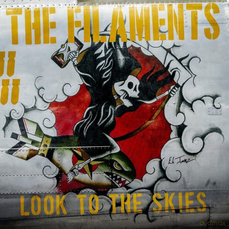 Filaments: Look To The Skies [CD]