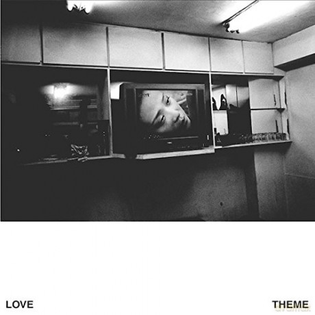 Love Theme: Love Theme [Winyl]