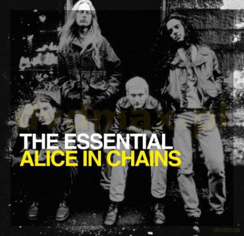 Alice In Chains: The Essential Alice In Chains [2CD]