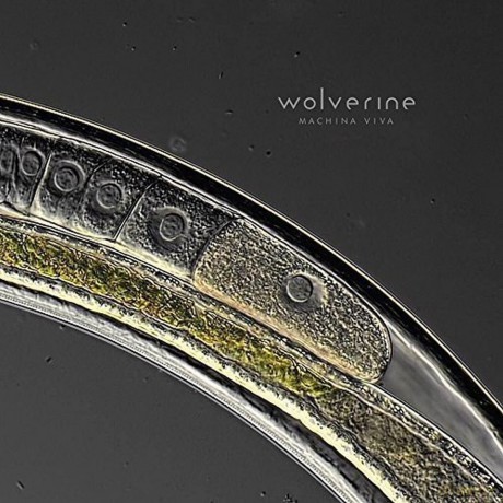 Wolverine: Machina Viva [CD]