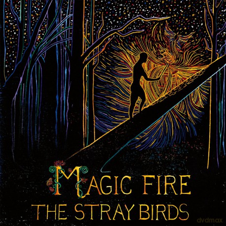 Stray Birds: Magic Fire [Winyl]