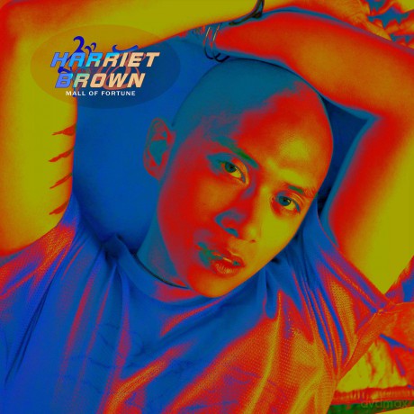 Harriet Brown: Mall Of Fortune [CD]
