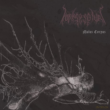 Korpsesoturi: Malus Corpus [CD]
