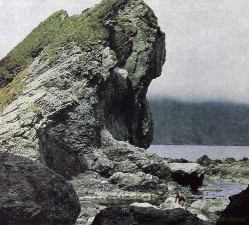 Motorama: Many Nights [CD]