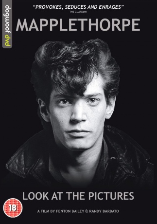 Mapplethorpe Look At The Pictures [DVD]