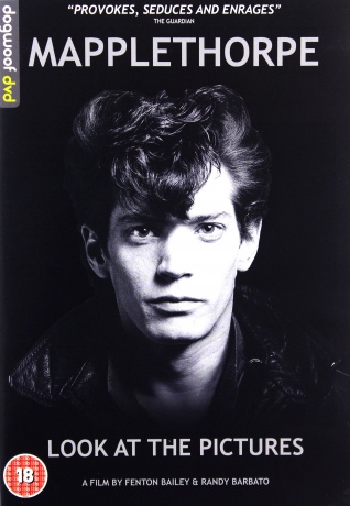 Mapplethorpe Look At The Pictures [DVD]