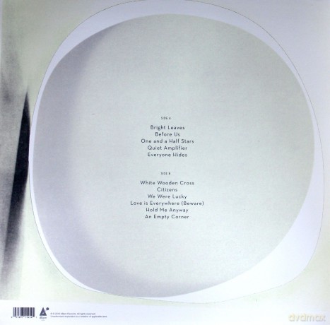 Wilco: Ode To Joy [Winyl]