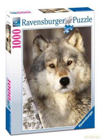 RAVENSBURGER 1000 el. Wilk [PUZZLE]