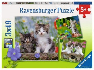 RAVENSBURGER 3x49 el. Kocięta [PUZZLE]
