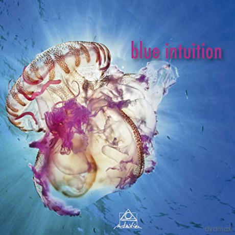 Blue Intuition [CD]