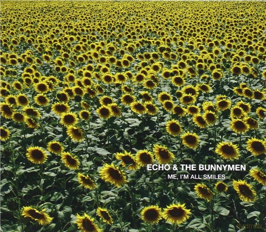 Echo & The Bunnymen: Me IM All Smiles [CD]