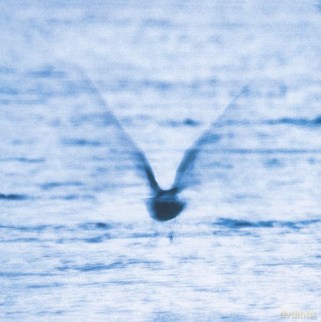 Ryo Fukui: Mellow Dream [Winyl]