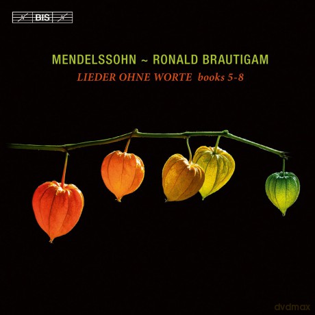 Ronald Brautigam: Mendelssohnlieder Ohne Worte [CD]