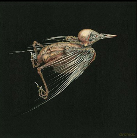 Jenny Hval Susanna: Meshes Of Voice [CD]