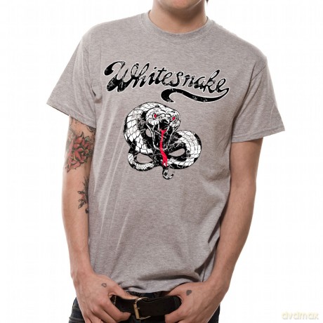 Vintage Snake, Grey, Men's (S) [T-Shirt]