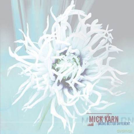 Mick Karn: More Better Different [Winyl]
