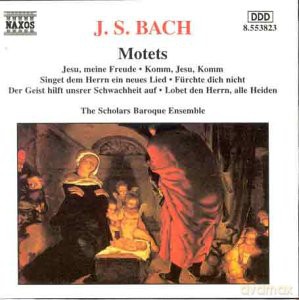 Scholars Baroque Ensemble: Motets [CD]