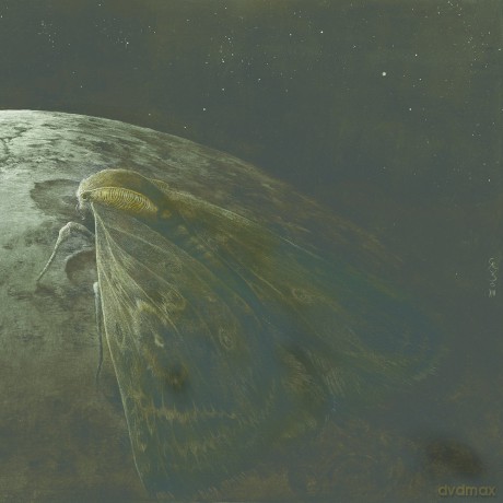 Augrimmer: Moth And The Moon [CD]