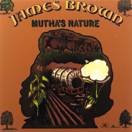 James Brown: Muthas Nature [CD]
