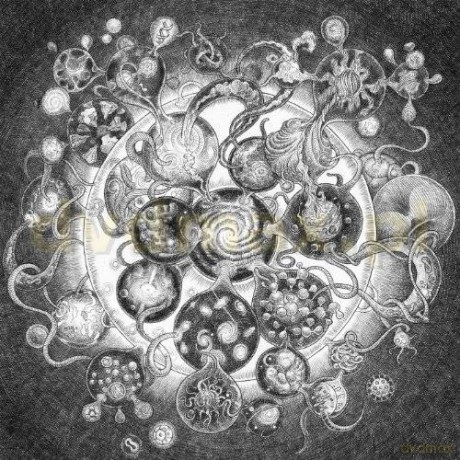 Long Distance Calling: Long Distance Calling [CD]