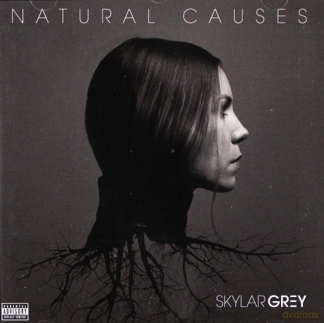 Skylar Grey: Natural Causes [CD]
