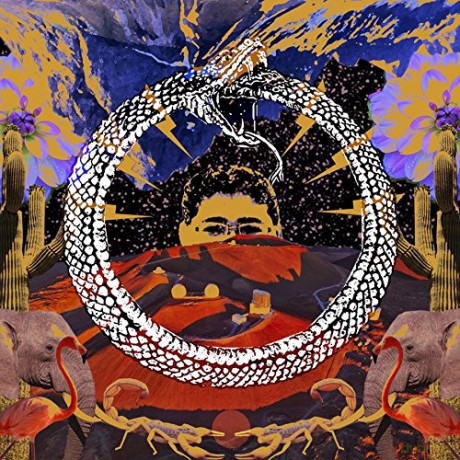 Stone House On Fire: Neverending Cycle [Winyl]