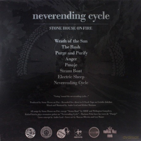 Stone House On Fire: Neverending Cycle [Winyl]