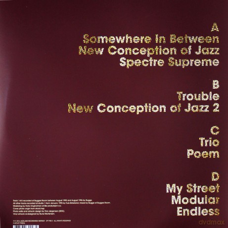 Bugge Wesseltoft: New Conception Of Jazz [2xWinyl]
