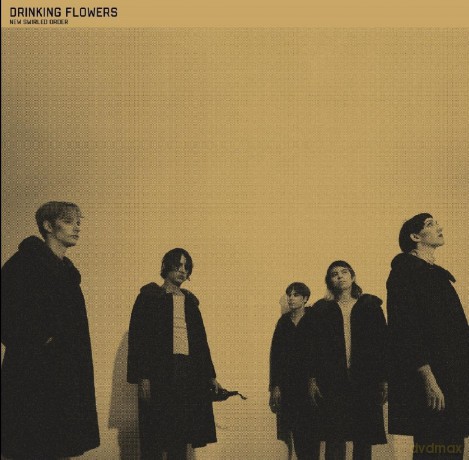 Drinking Flowers: New Swirled Order [CD]