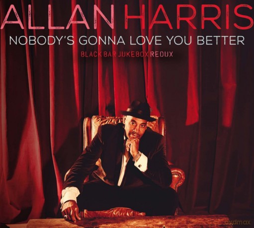 Allan Harris: Nobody's Gonna Love You Better [Winyl]