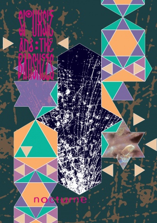 Siouxsie & The Banshees: Nocturne [DVD]